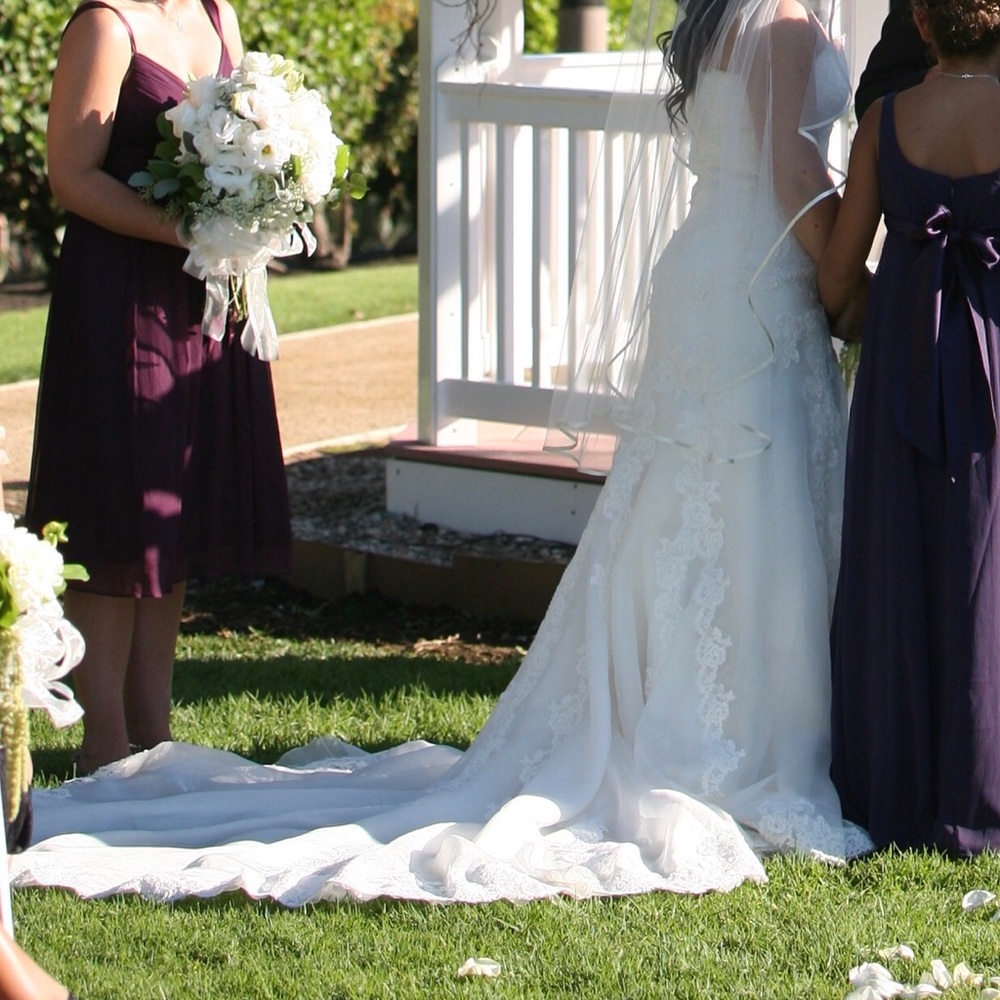 Pronovias - Manuel Mota Wedding Dress - Picture 2 of 8